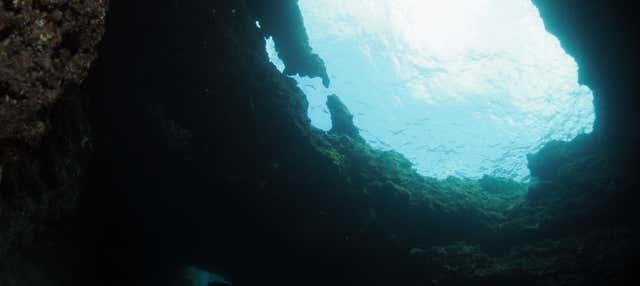 Excursion aux grottes bleue et verte en bateau