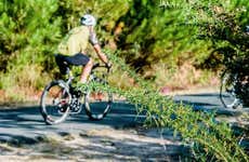 Lumbarda Bike & Wine Tasting Tour