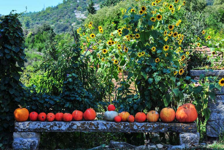 Excursión a Žrnovo 