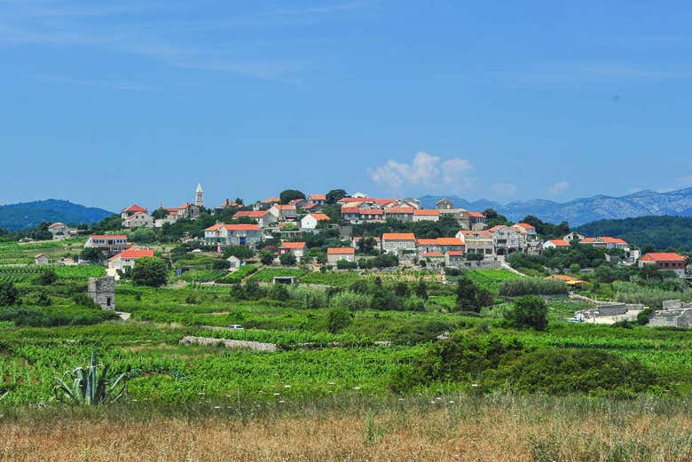 Lumbarda