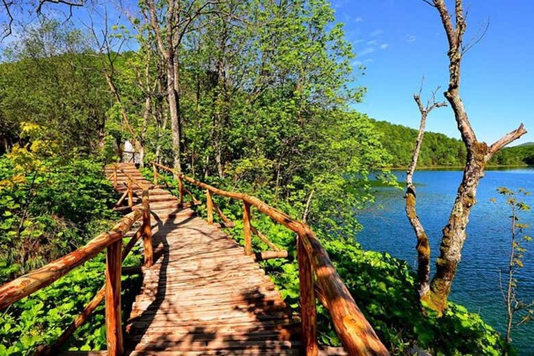 Walk along wooden bridges