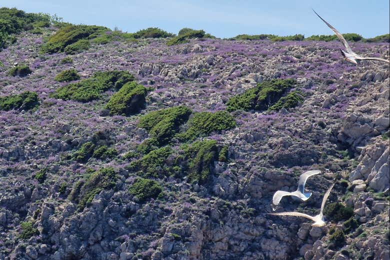 Take in the landscapes of the island