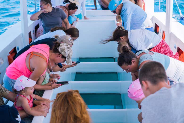 Admire the seabed from this glass-bottom boat