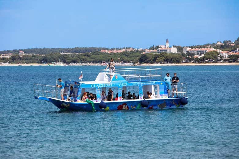 Discover the biodiversity from a glass-bottom boat