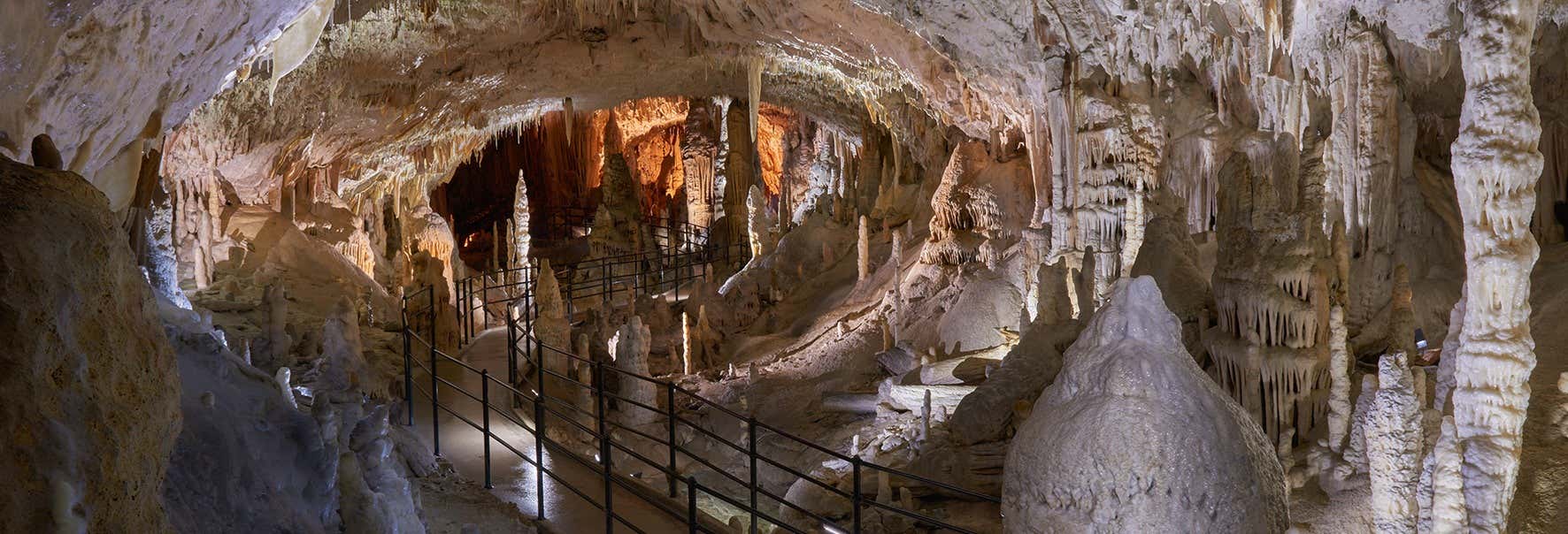 Excursiones de un día en Opatija