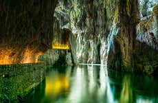 Excursion à Lipica et aux grottes de Skocjan