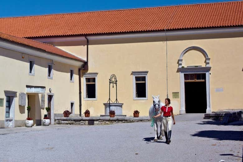 Alla scoperta della fattoria