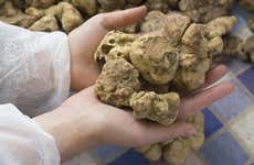 Tour gastronómico por Istria