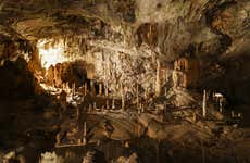 Excursion à la grotte Postojna et château de Predjama