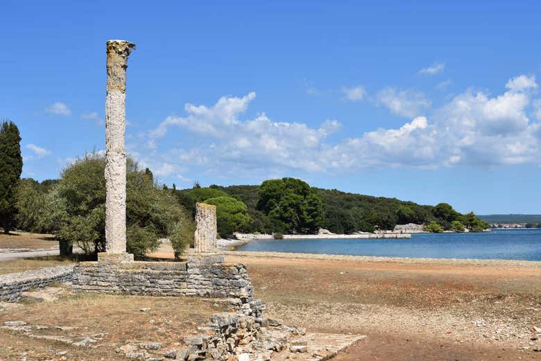 Learn about local history