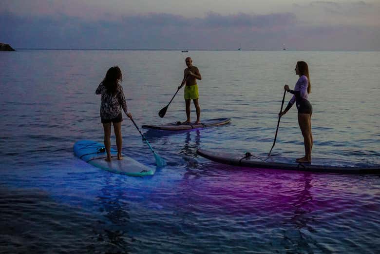 Pula Paddleboarding Tour Book Online at