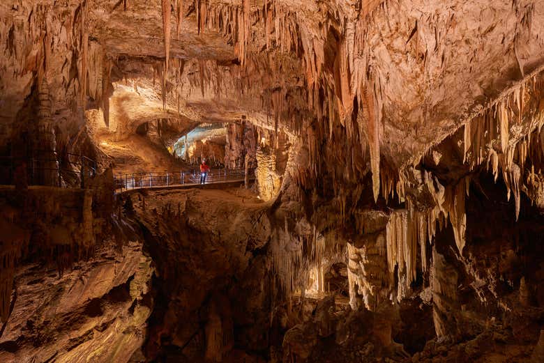 Visitez la grotte de Postojna