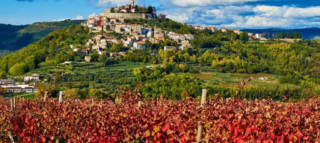 Tour gastronómico por Istria