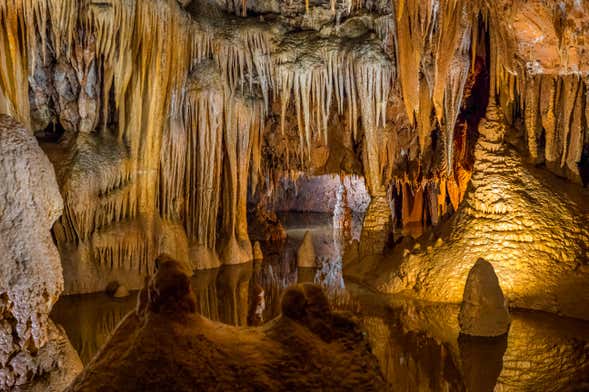 Escursione alla grotta di Baredine