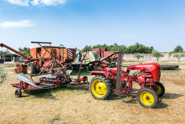 Visitando il Museo del Trattore