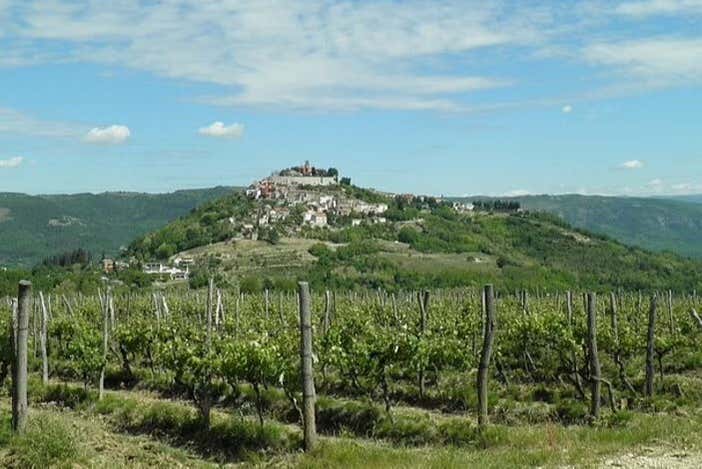 Viñedos de Istria