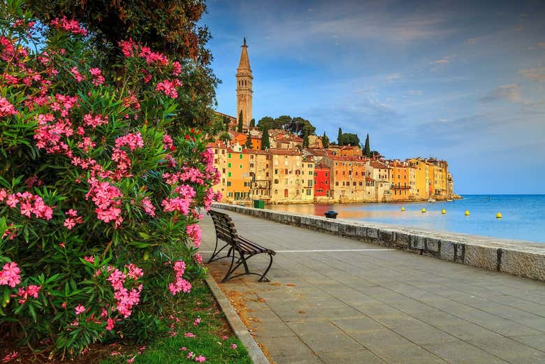 Paseo marítimo de Rovinj