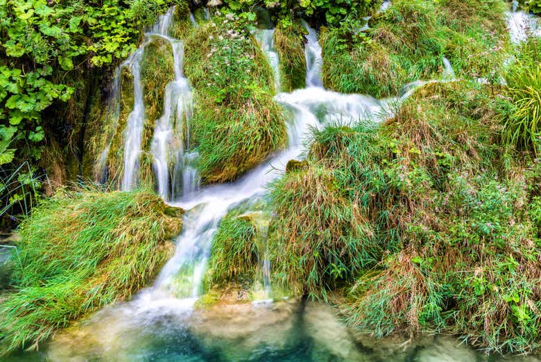 Vegetación y cascadas en los Lagos Plitvice