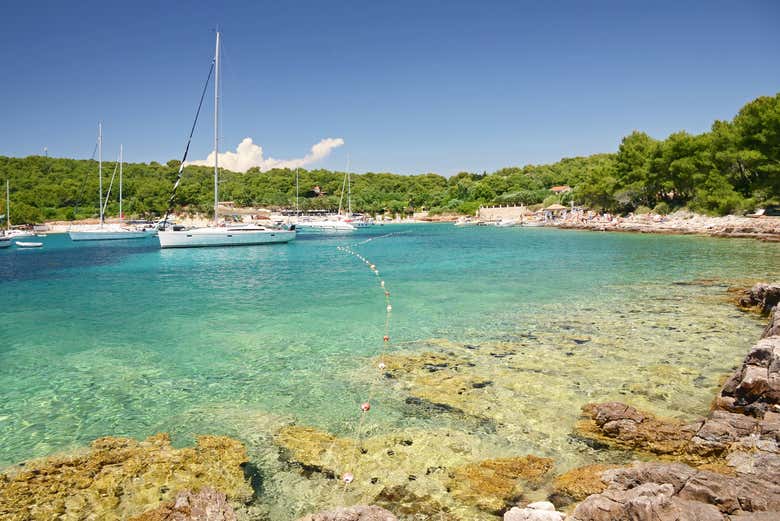Escursione alle isole Spalmadori