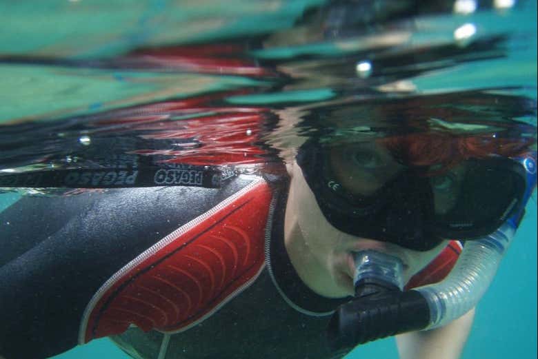 Go on an underwater adventure!