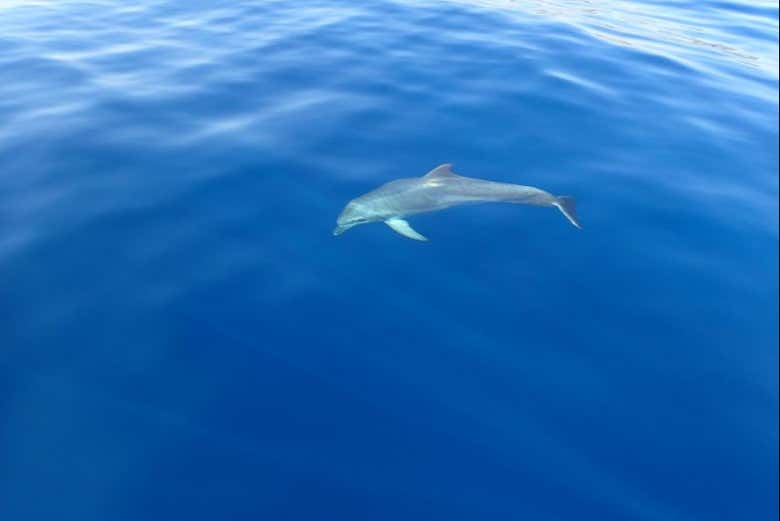 Enjoy a day along the Adriatic Sea