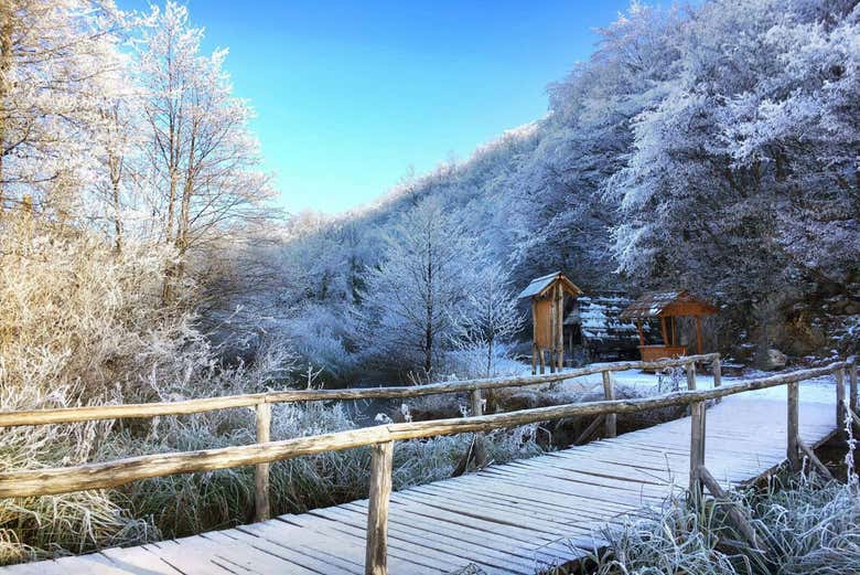 Lagos Plitvice en invierno