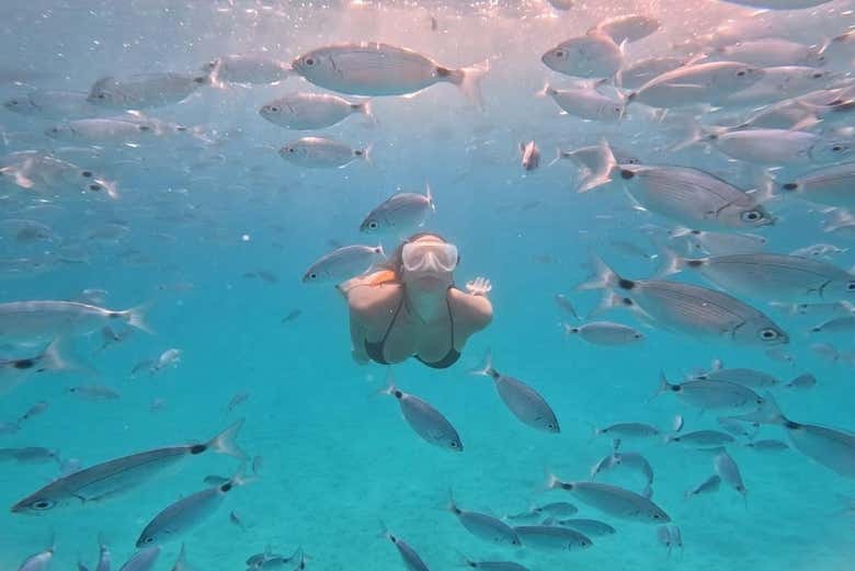 Snorkel in the Adriatic Sea