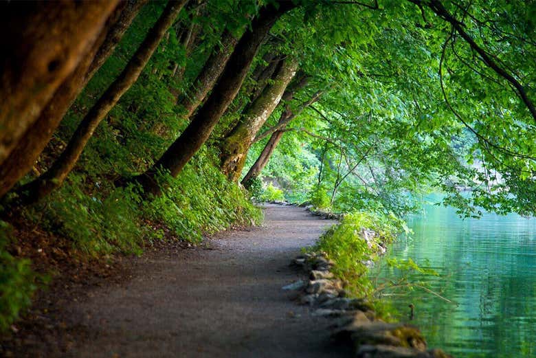 Orilla de los Lagos Plitvice