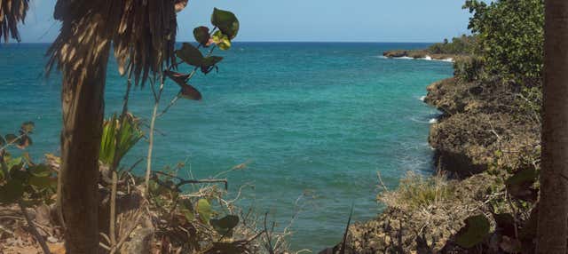 Excursión al Parque Nacional Alejandro Humboldt