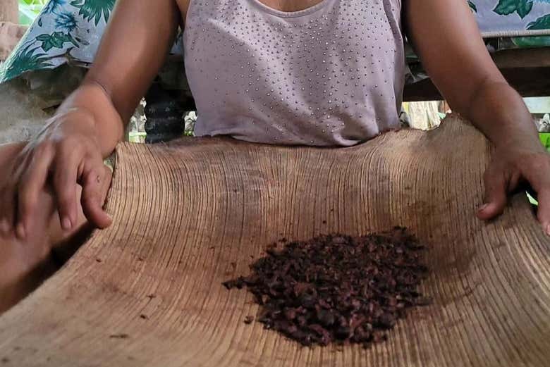Cacao sur un plateau en bois