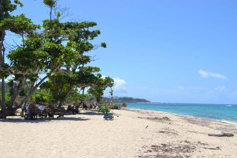 A view of the beach