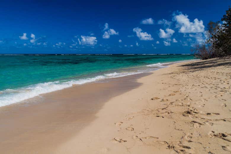 Playa de Maguana