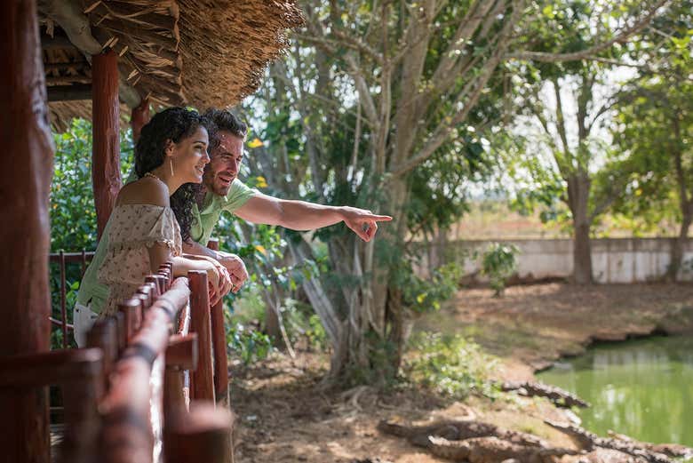 Casal visitando um criadouro de crocodrilos
