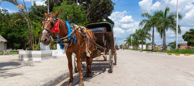 Tour del tabaco, el ron y el azúcar