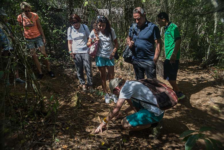 El grupo escuchando las explicaciones del guía durante la ruta