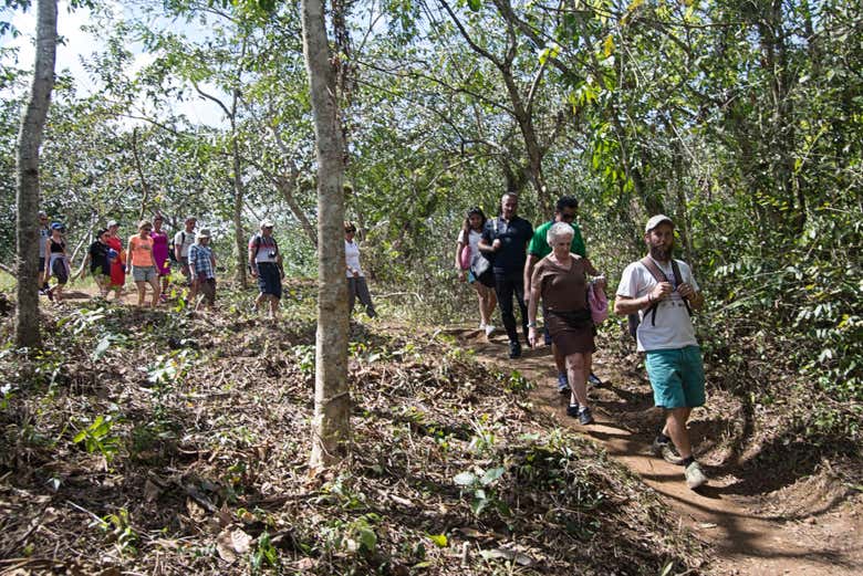 Caminata por los senderos del Parque Guanayara