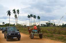 Yaguajay Jeep Safari