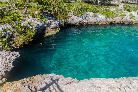 Excursión a Caleta Buena