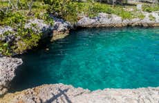 Excursión a Caleta Buena