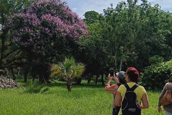 There'll be plenty of new plants to discover