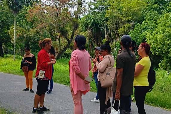 Immerse yourself in the beautiful botanical gardens