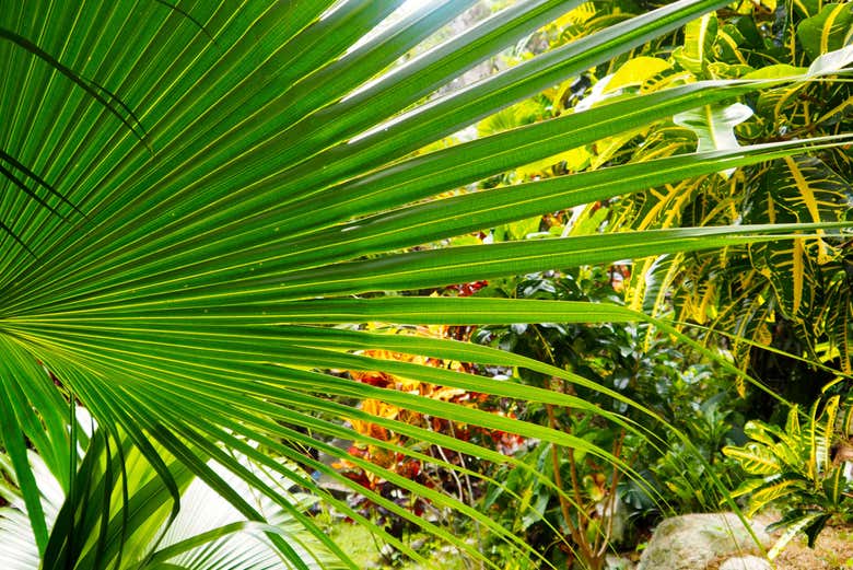 Be captivated by the natural beauty 