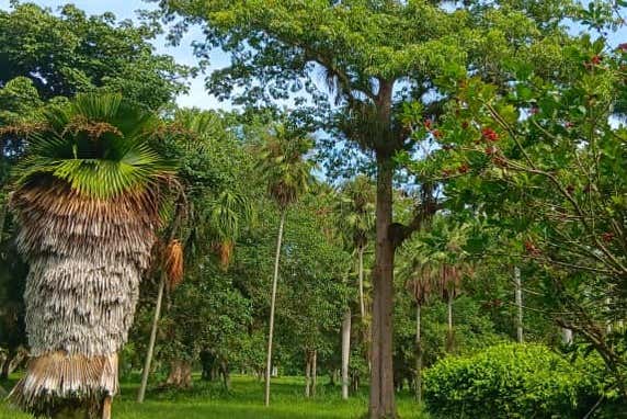 Spend a day in nature 