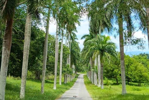 Walk along the tranquil paths