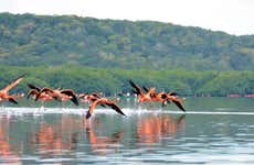 Guanaroca Lagoon Boat Tour