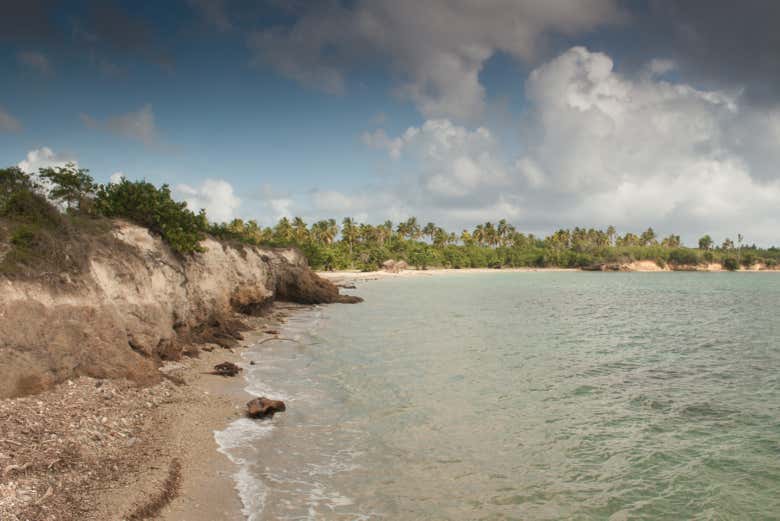 Bariay Coast