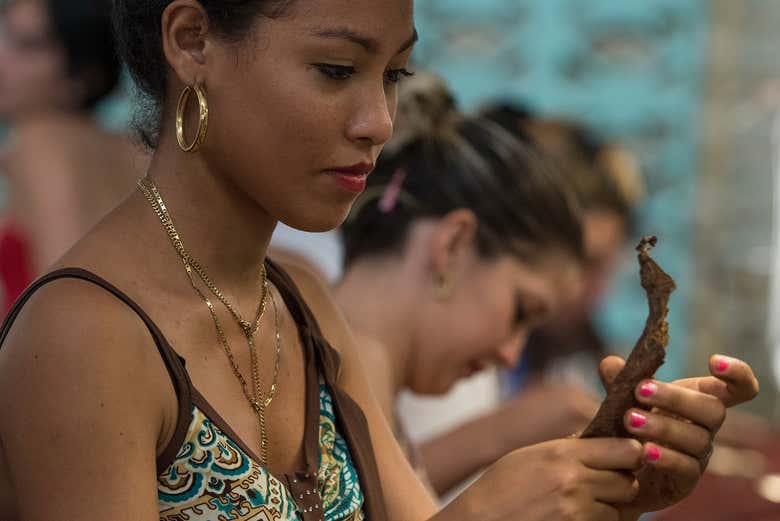 Enrollando las hojas del tabaco 