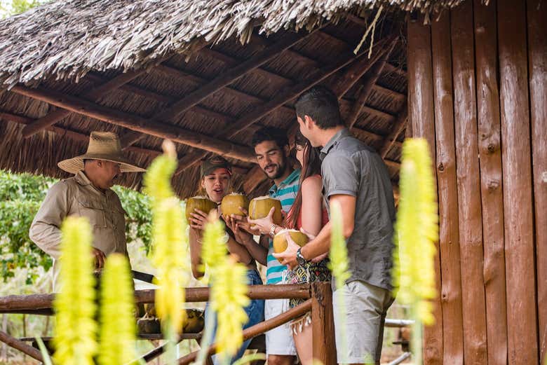 Refresh with a tasty lunch and drinks