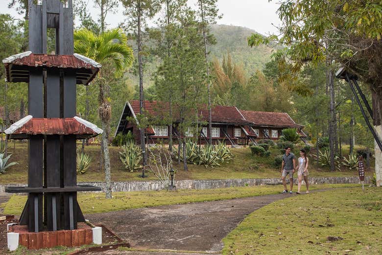Walk through the Cuban wilderness