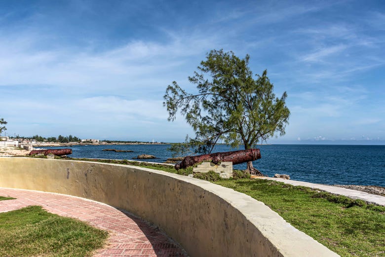Cannons of the Fort Fernando VII Battery